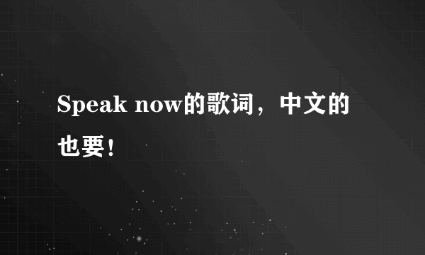 Speak now的歌词，中文的也要！