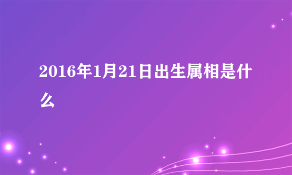 2016年1月21日出生属相是什么