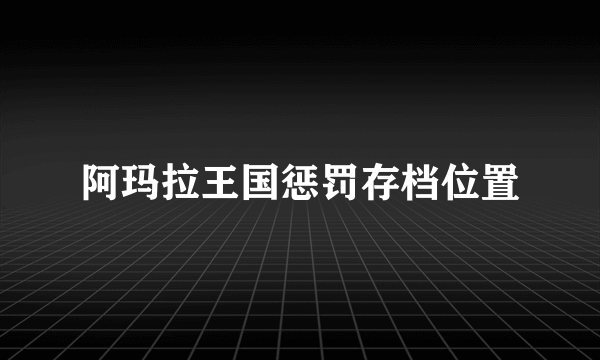 阿玛拉王国惩罚存档位置