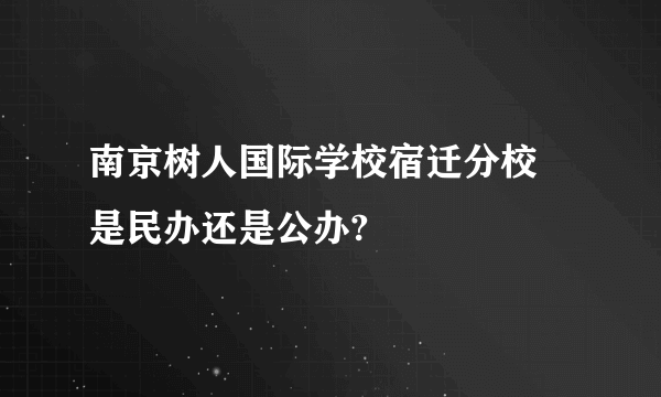 南京树人国际学校宿迁分校 是民办还是公办?