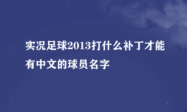 实况足球2013打什么补丁才能有中文的球员名字