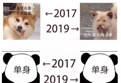 从2017年到2019年，我们究竟成长了多少？