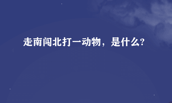 走南闯北打一动物，是什么?