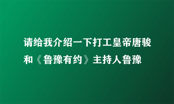 请给我介绍一下打工皇帝唐骏和《鲁豫有约》主持人鲁豫