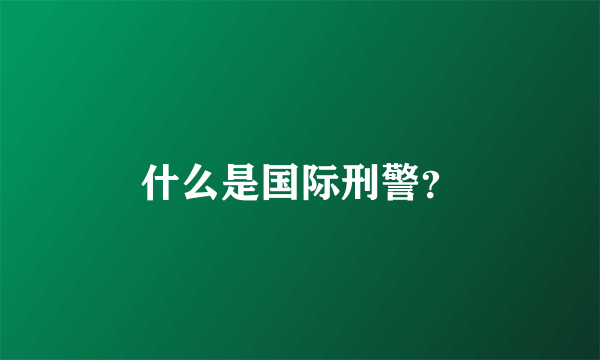 什么是国际刑警？