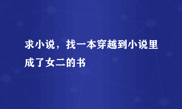 求小说，找一本穿越到小说里成了女二的书