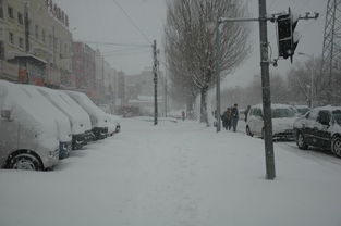 应对暴雪，哈尔滨进入临战状态，此次大暴雨天气将会有多恶劣？