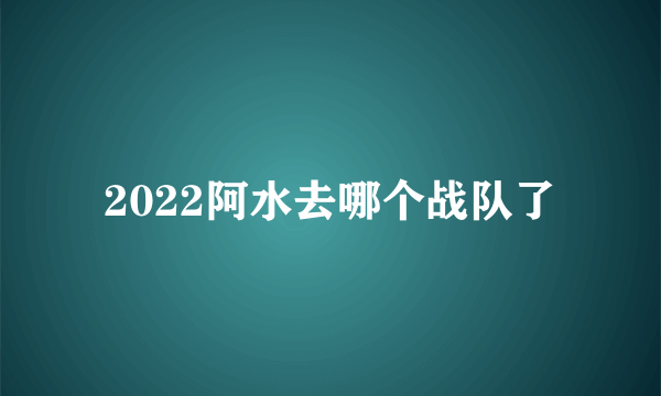 2022阿水去哪个战队了