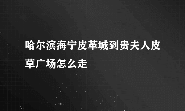 哈尔滨海宁皮革城到贵夫人皮草广场怎么走