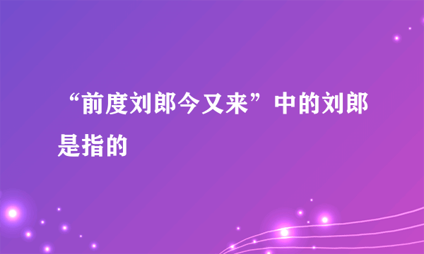 “前度刘郎今又来”中的刘郎是指的