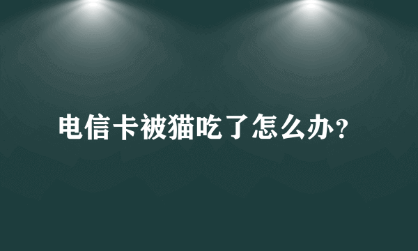 电信卡被猫吃了怎么办？