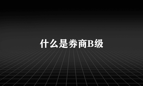 什么是券商B级