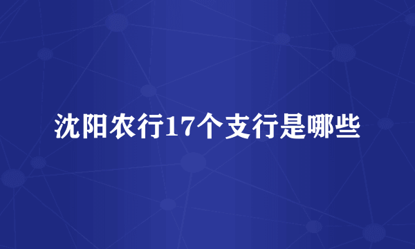 沈阳农行17个支行是哪些