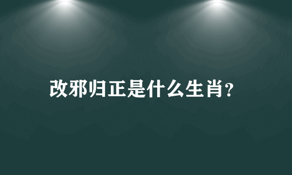 改邪归正是什么生肖？