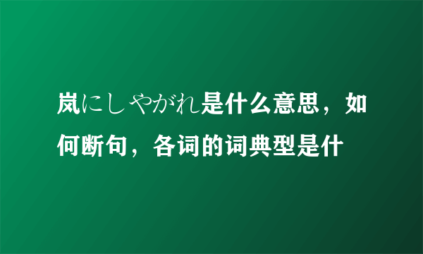 岚にしやがれ是什么意思，如何断句，各词的词典型是什