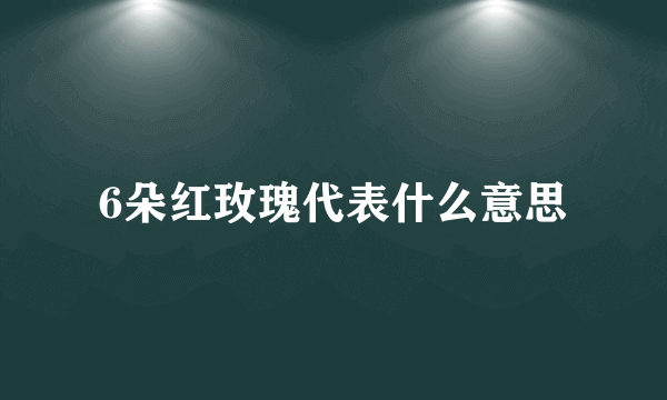 6朵红玫瑰代表什么意思