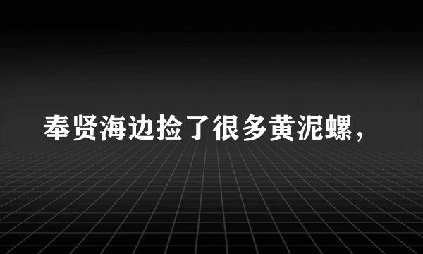 奉贤海边捡了很多黄泥螺，