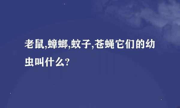 老鼠,蟑螂,蚊子,苍蝇它们的幼虫叫什么?