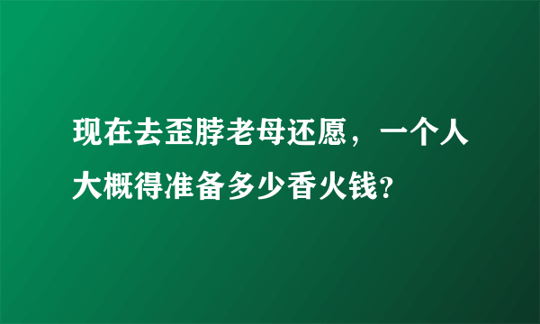 现在去歪脖老母还愿，一个人大概得准备多少香火钱？