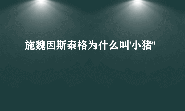 施魏因斯泰格为什么叫'小猪