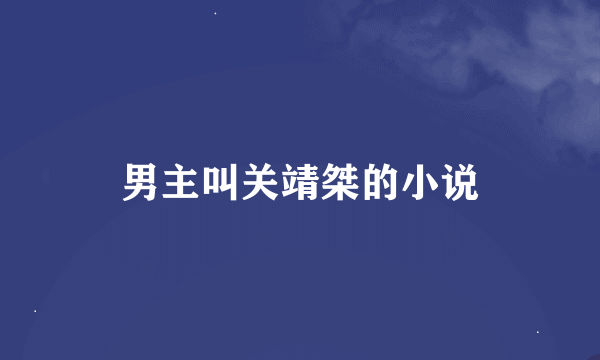 男主叫关靖桀的小说