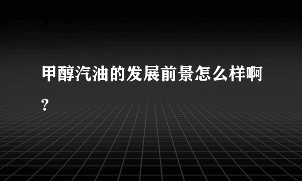 甲醇汽油的发展前景怎么样啊？