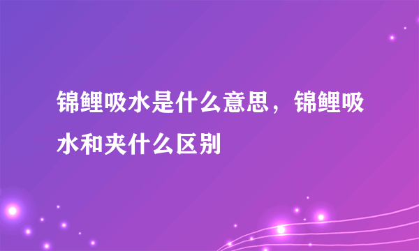 锦鲤吸水是什么意思，锦鲤吸水和夹什么区别