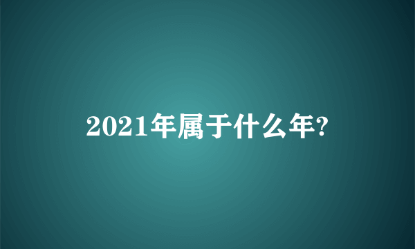 2021年属于什么年?