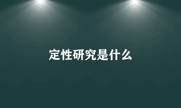 定性研究是什么