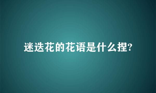 迷迭花的花语是什么捏?