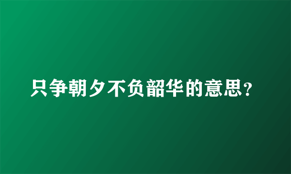 只争朝夕不负韶华的意思？