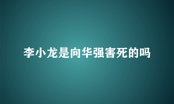 李小龙是向华强害死的吗