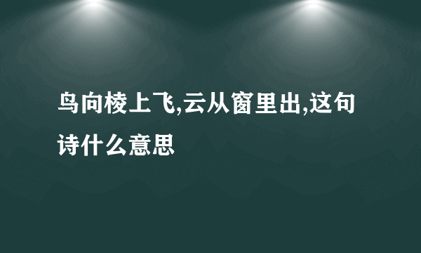 鸟向棱上飞,云从窗里出,这句诗什么意思