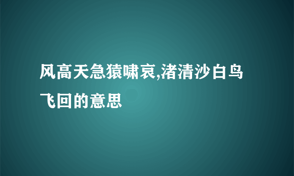 风高天急猿啸哀,渚清沙白鸟飞回的意思