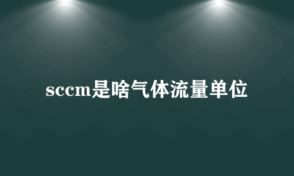 sccm是啥气体流量单位