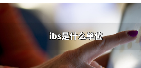 ibs是什么单位?