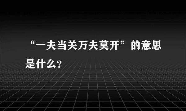 “一夫当关万夫莫开”的意思是什么？