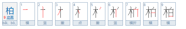 柏读音人名怎么读？