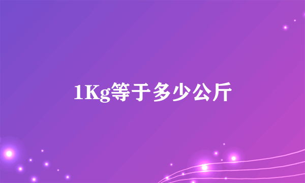 1Kg等于多少公斤