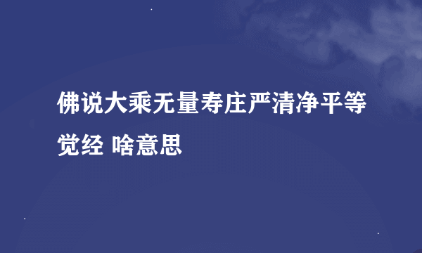 佛说大乘无量寿庄严清净平等觉经 啥意思