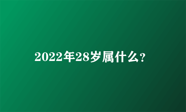 2022年28岁属什么？