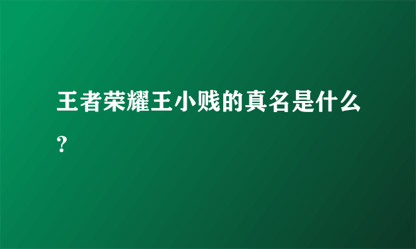 王者荣耀王小贱的真名是什么？