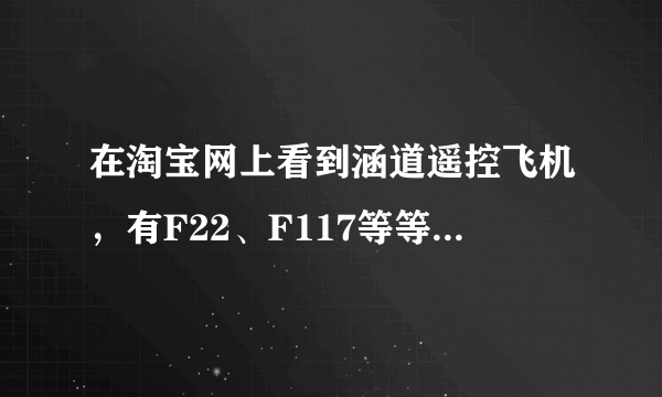 在淘宝网上看到涵道遥控飞机，有F22、F117等等，长度有一米五，价格超贵，两千左右，没玩过的人能玩吗？