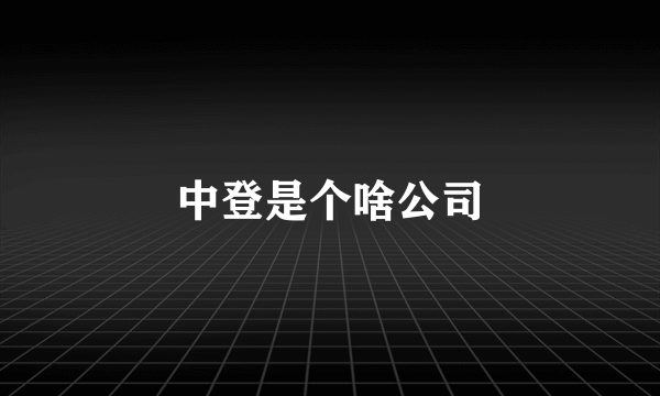 中登是个啥公司