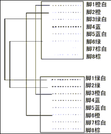 交叉网线的线序？