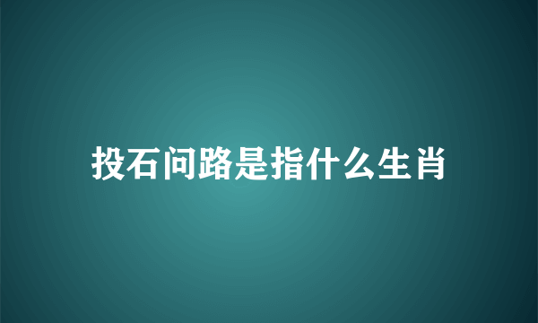 投石问路是指什么生肖