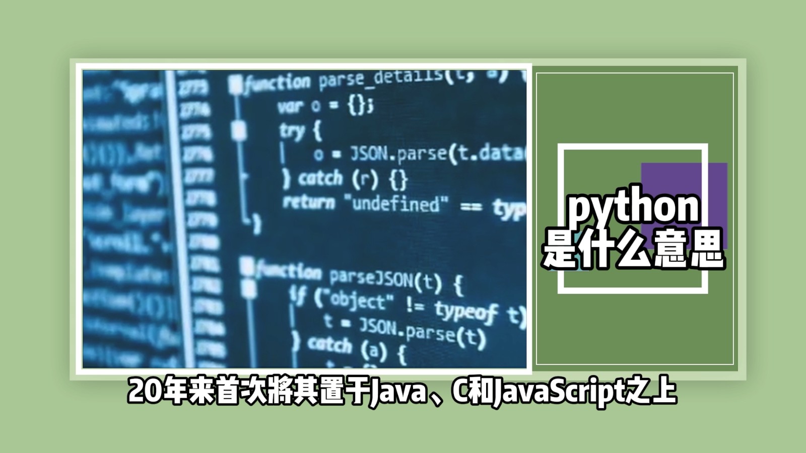 python是什么意思？