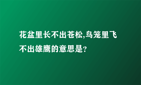 花盆里长不出苍松,鸟笼里飞不出雄鹰的意思是？