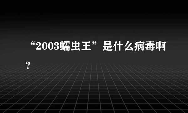 “2003蠕虫王”是什么病毒啊？