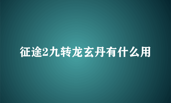 征途2九转龙玄丹有什么用